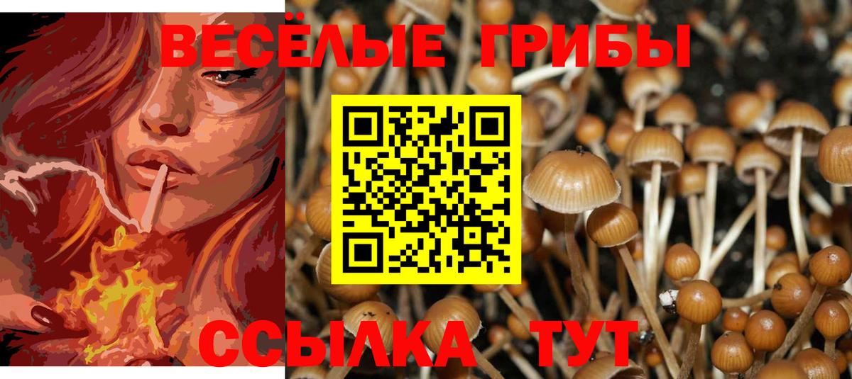Галлюциногенные грибы Psilocybine cubensis  Вход с VPN  Вязники  Псилоцибиновые грибы Cubensis 
