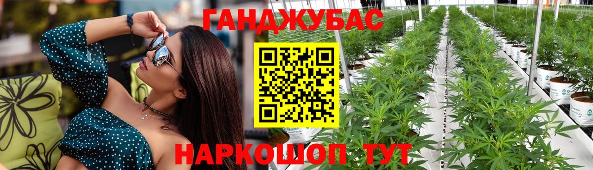 Каннабис OG Kush Вязники