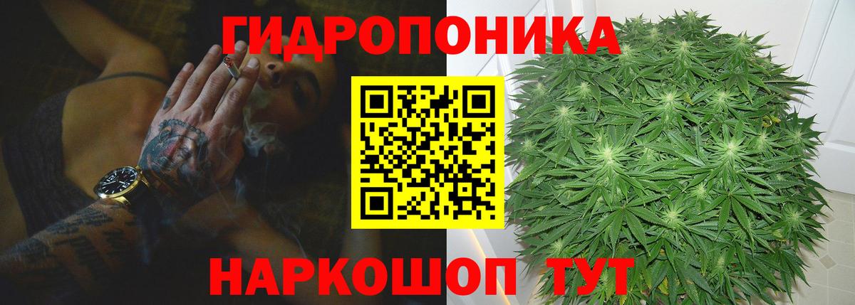 Вязники  Бошки Шишки LSD WEED  Шишки марихуана планчик  Вход с VPN 